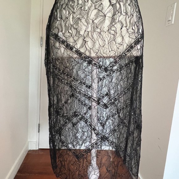 Chanel Cruise handmade lace and sequin sheer skirt Size 38 US 4/6/S - Picture 9 of 16